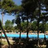 Una piscina con lettini e ombrelloni tra gli alberi.