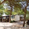 Camping Santa Maria Di Leuca (LE) Puglia