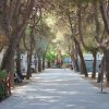 Viale ombreggiato con camper parcheggiati.