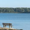 Panchina di legno con vista su un lago circondato da alberi.