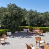 Giardino con sedie di legno, siepi verdi.