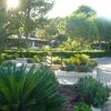 Un giardino con palme e vialetti di pietra al sole.