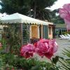 Un giardino con rose rosa in primo piano e un gazebo con tettoia bianca sullo sfondo.