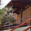 Terrazza di una casa con tettoia in legno e scala in legno tra alberi.