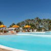 Piscina e fontane con palme.